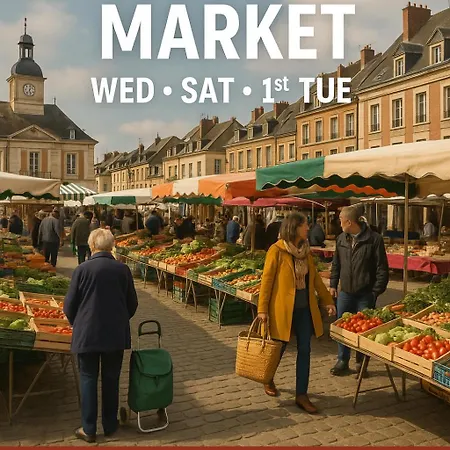 Jungle Chic A Noyon, Hauts-de-france